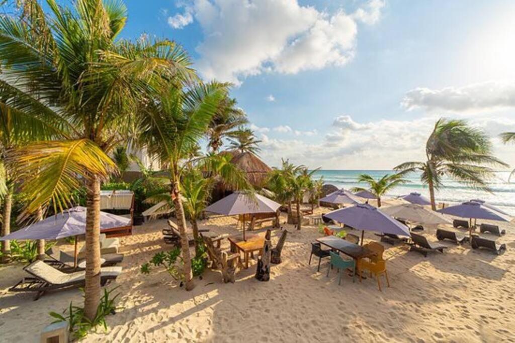 Luxury Studio In Playa Del Carmen Eksteriør bilde